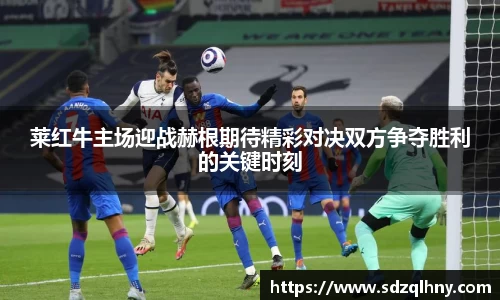 莱红牛主场迎战赫根期待精彩对决双方争夺胜利的关键时刻