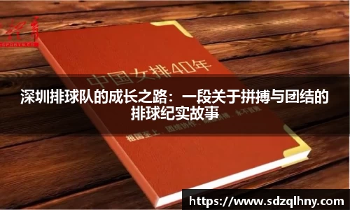 深圳排球队的成长之路：一段关于拼搏与团结的排球纪实故事